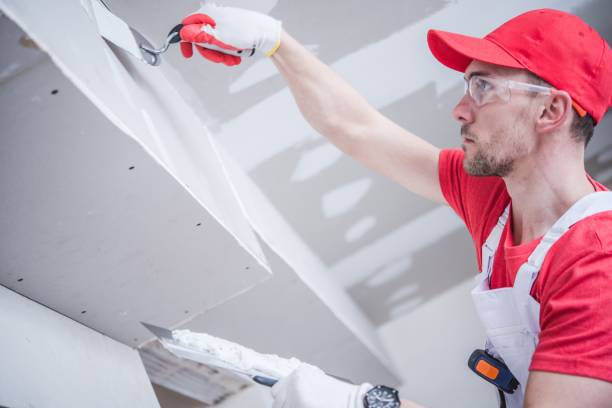 Best Crawl Space Mold Remediation  in West Portsmouth, OH